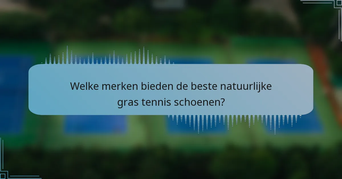 Welke merken bieden de beste natuurlijke gras tennis schoenen?